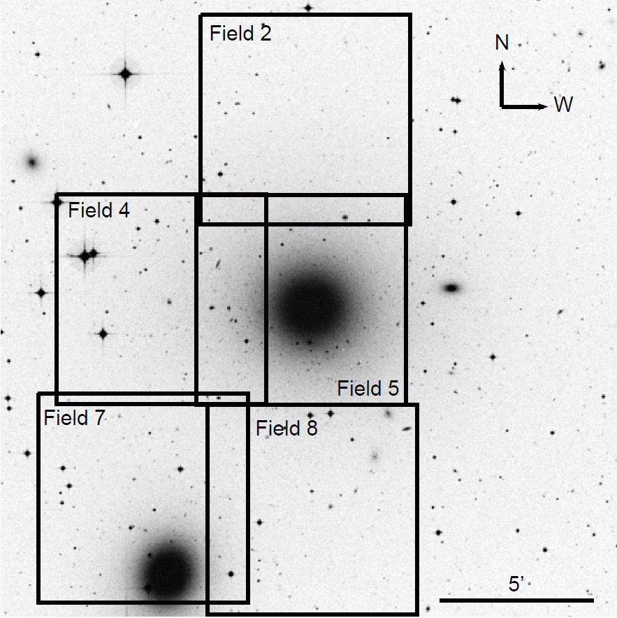 Dark matter in elliptical galaxies