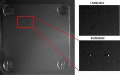 The microscope of COSIMA detected several cometary grains collected in the inner coma of 67P/Churyumov-Gerasimenko in the time period Aug 17 to 24, while Rosetta accompanied the nucleus at about 100 km distance. The sizes of the largest grains are about 50 and 70 micrometres. The illumination of the target is from the right and the length of shadows is proportional to the heights of the cometary dust grain. The size of the dust collecting target is 1x1 cm^2 and the optical resolution is 14 micrometres/pixel.