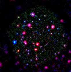 ROSAT resolved ~80% of the X-ray background into individual sources, mostly supermassive Black Holes in galactic nuclei.