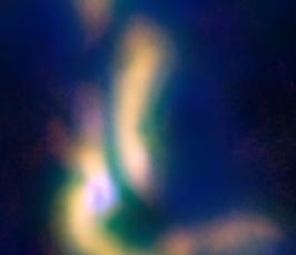 ALMA detections of 13C17O and complex organic molecular lines in the disk around FU Ori type protostar V883 Ori