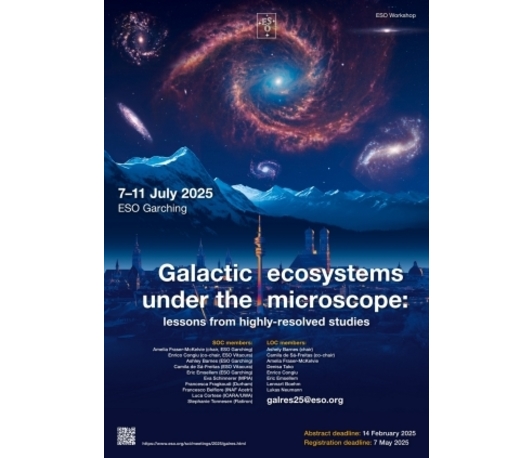 Galactic Ecosystems Under The Microscope: Lessons From Highly-Resolved Studies